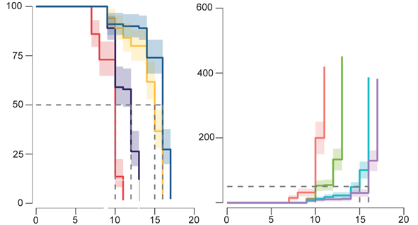 Survival and cumulative hazard plots of adult black soldier flies fed various liquid diets
